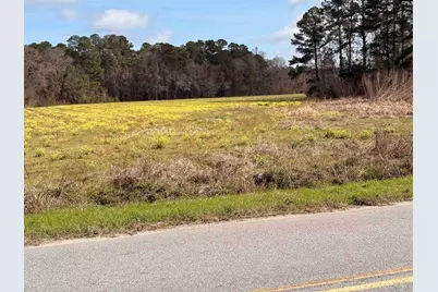 0 Bryant Road, Reevesville, SC 29471 - Photo 6