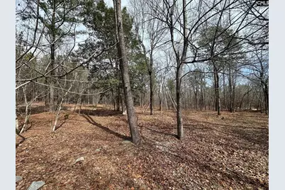 476 Calmont Drive, Sandy Run, SC 29160 - Photo 10