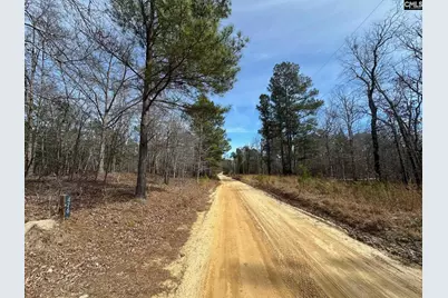 476 Calmont Drive, Sandy Run, SC 29160 - Photo 2