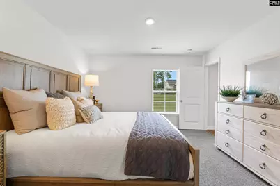 313 Star Capital Way, Pelion, SC 29123 - Photo 14