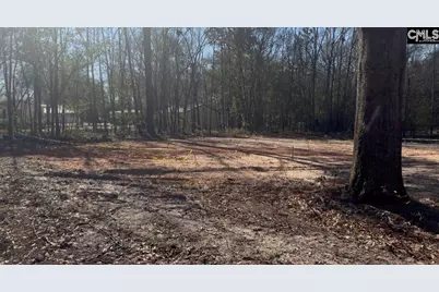 750 Maple Street, Pelion, SC 29123 - Photo 1