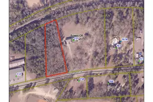 0 Hampton St, Batesburg, SC 29070 - Photo 1