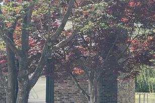 314 Brantley Dr, Hartsville, SC 29550 - Photo 18