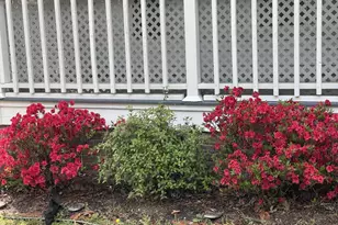 314 Brantley Dr, Hartsville, SC 29550 - Photo 34