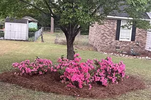 314 Brantley Dr, Hartsville, SC 29550 - Photo 10