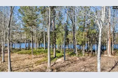 148 Living Waters Boulevard, Lexington, SC 29073 - Photo 54