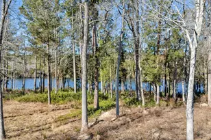 148 Living Waters Blvd, Lexington, SC 29073 - Photo 54