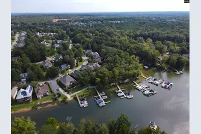 120 Spring Blossom Lane, Chapin, SC 29036 - Photo 46