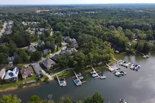 120 Spring Blossom Ln, Chapin, SC 29036 - Photo 46