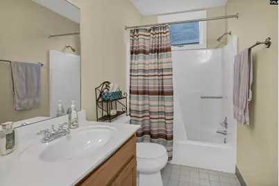 120 Spring Blossom Lane, Chapin, SC 29036 - Photo 28