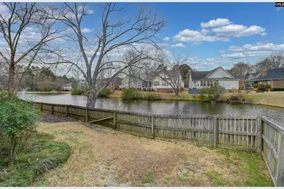 120 Spring Blossom Lane, Chapin, SC 29036 - Photo 38
