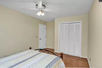 120 Spring Blossom Lane, Chapin, SC 29036 - Photo 30