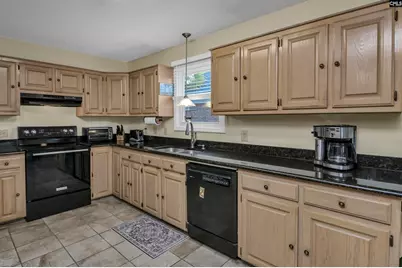 120 Spring Blossom Lane, Chapin, SC 29036 - Photo 20