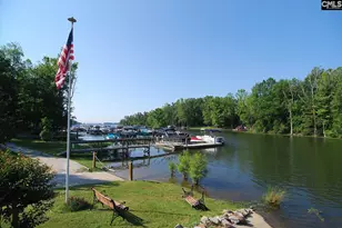 120 Spring Blossom Ln, Chapin, SC 29036 - Photo 44