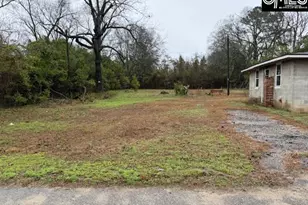 424 Jamison Ave, Orangeburg, SC 29115 - Photo 4