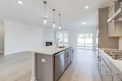 250 Horse Farm Place, Lexington, SC 29072 - Photo 16