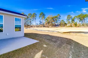 250 Horse Farm Pl, Lexington, SC 29072 - Photo 40