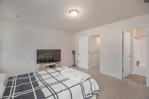 206 Orange Pond Ct, Lexington, SC 29073 - Photo 12