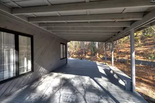 5911 Marthas Glen Rd, Columbia, SC 29209 - Photo 10