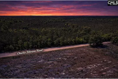 Lot 4 Charlie Johnson Road, Bethune, SC 29009 - Photo 2