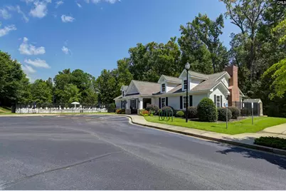 426 Crawley Lane, Chapin, SC 29036 - Photo 50