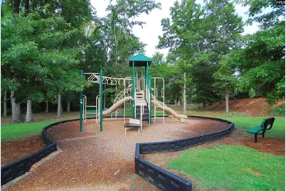 426 Crawley Lane, Chapin, SC 29036 - Photo 44