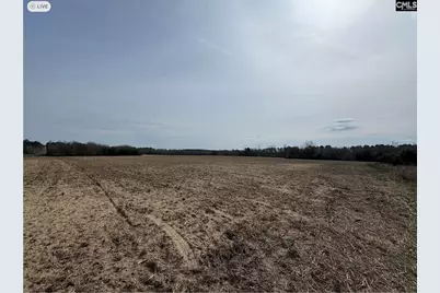 Tbd Firetower Road, Springfield, SC 29146 - Photo 10