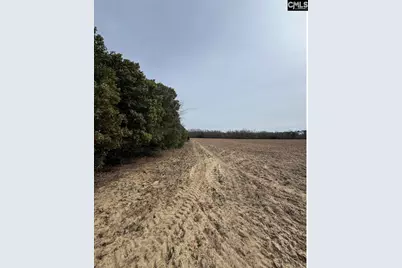 Tbd Firetower Road, Springfield, SC 29146 - Photo 4