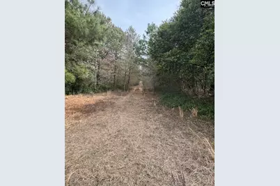 Tbd Firetower Road, Springfield, SC 29146 - Photo 8