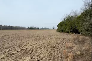 Tbd Firetower Rd, Springfield, SC 29146 - Photo 1