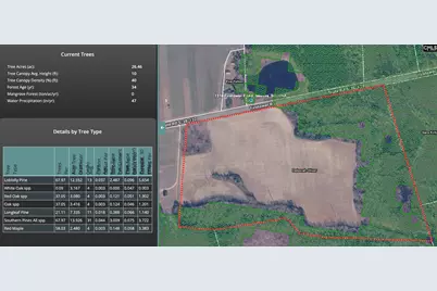 Tbd Firetower Road, Springfield, SC 29146 - Photo 6