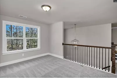 107 Greengarden Drive, Chapin, SC 29036 - Photo 48