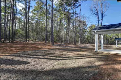 107 Greengarden Drive, Chapin, SC 29036 - Photo 64