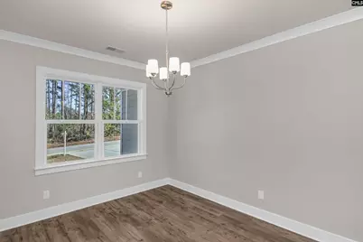 111 Greengarden Drive, Chapin, SC 29036 - Photo 10