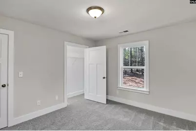 111 Greengarden Drive, Chapin, SC 29036 - Photo 48