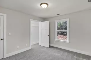 111 Greengarden Dr, Chapin, SC 29036 - Photo 48