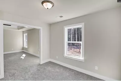 119 Greengarden Drive, Chapin, SC 29036 - Photo 34
