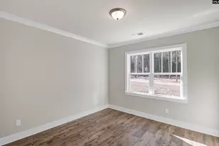 119 Greengarden Dr, Chapin, SC 29036 - Photo 22