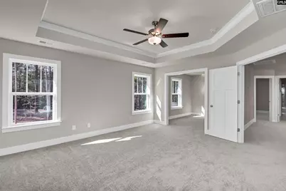 119 Greengarden Drive, Chapin, SC 29036 - Photo 32