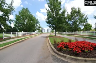 112 Feather Site Ln, Lexington, SC 29072 - Photo 40