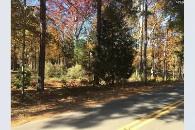 514 Shadowood Drive, Irmo, SC 29063 - Photo 8