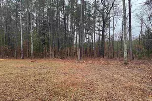 165 Ash Hill Dr, Eutawville, SC 29048 - Photo 2