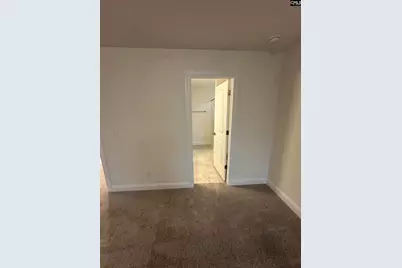 121 Playground Road, Blythewood, SC 29016 - Photo 46