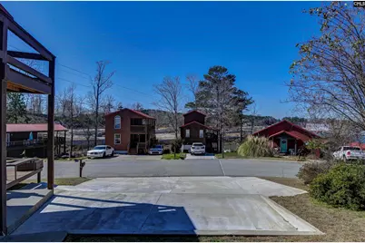 124 Marina Cove Drive, Gilbert, SC 29054 - Photo 52