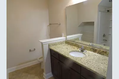 242 Dawsons Park Way, Lexington, SC 29072 - Photo 10