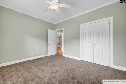 218 Hilton Village Drive, Chapin, SC 29036 - Photo 28