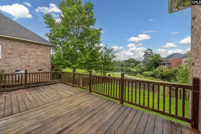 218 Hilton Village Drive, Chapin, SC 29036 - Photo 38