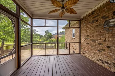 218 Hilton Village Drive, Chapin, SC 29036 - Photo 36