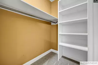 218 Hilton Village Drive, Chapin, SC 29036 - Photo 24