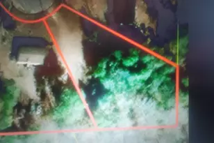 288 Peeler Rd, Gaston, SC 29053 - Photo 10